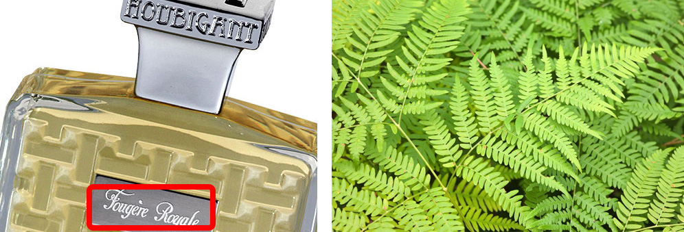 香水全攻略5分钟教你学会选香水,干货建议怎么穿才能get高级感