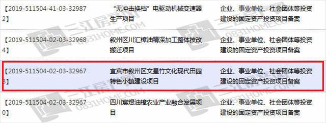 约7600亩，涉5个村，投资40亿！宜宾这个大项目，落在一个镇上？