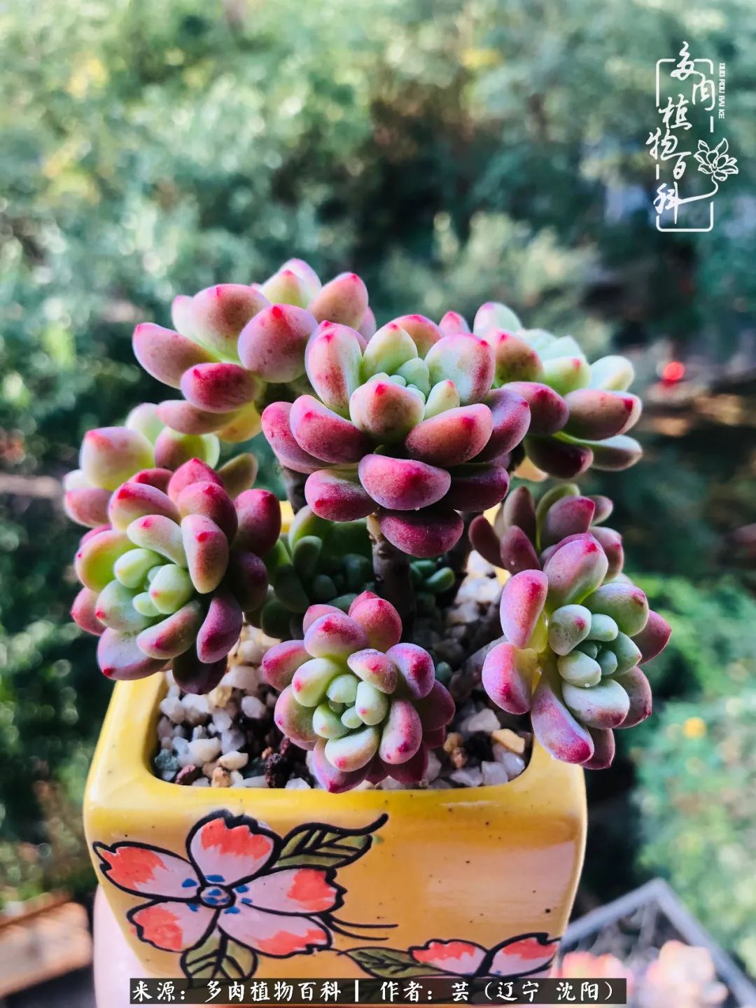 万物皆有灵性有因必有果,万物皆有灵性与生命