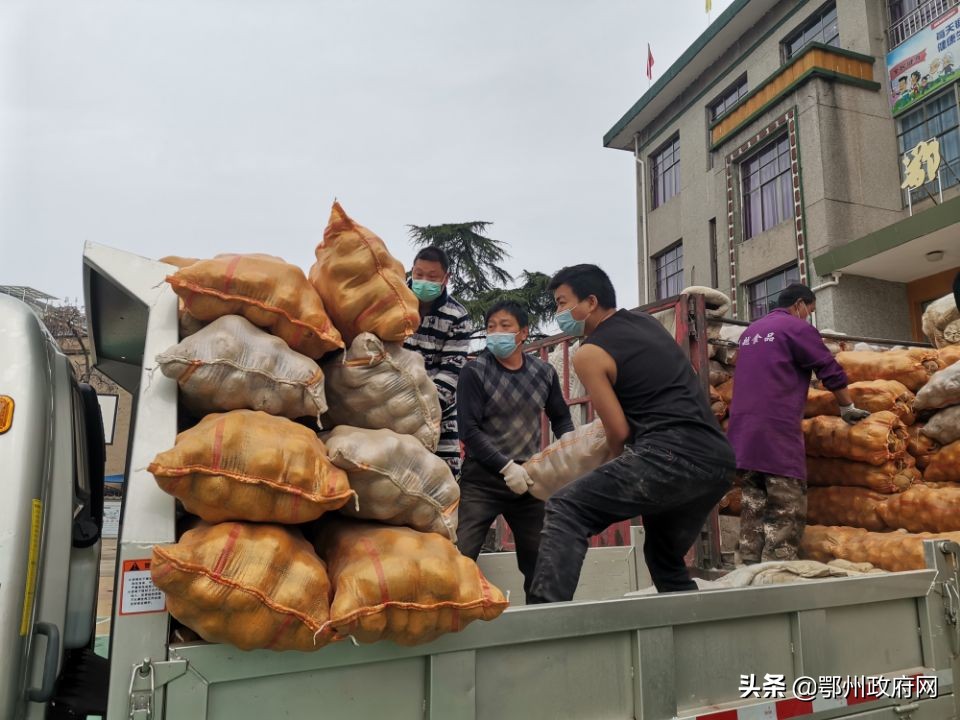 鄂城区采购,鄂城食材配送