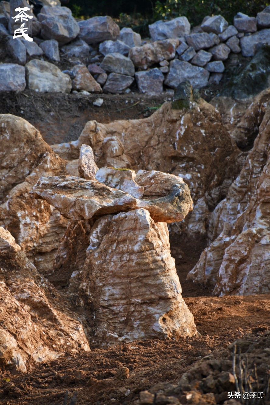 山居生活借山而居,徐州观心山居