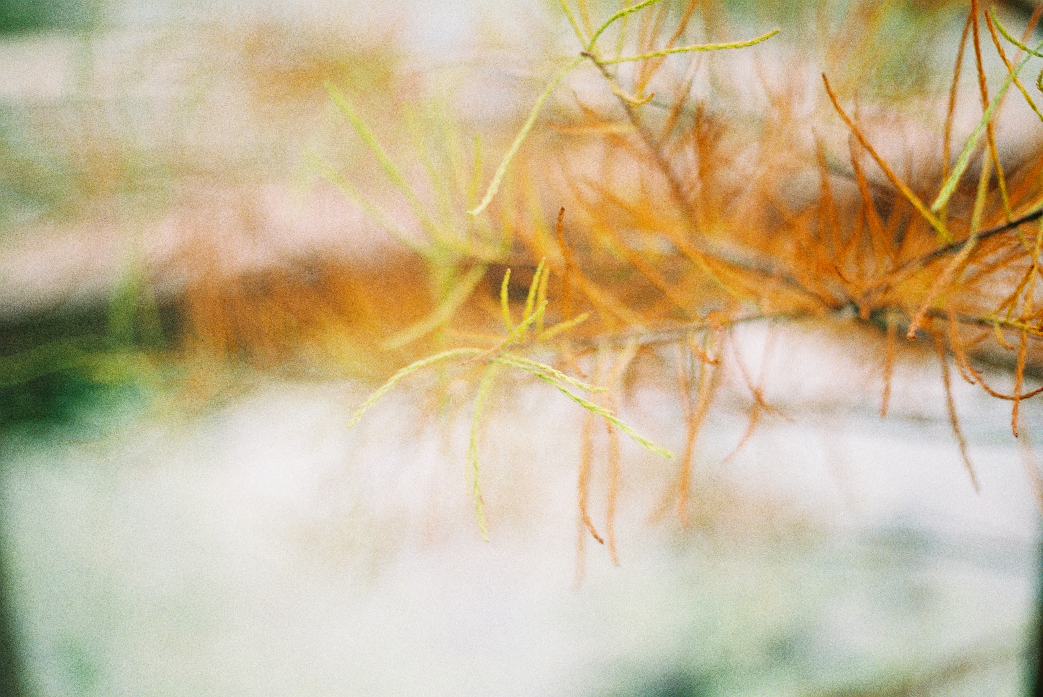 第一次拍了胶片怎么冲洗,坚持胶片拍摄的感受