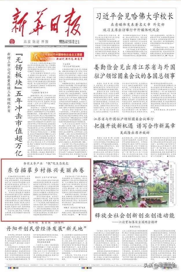 江苏省委新闻网官网关于东台,江苏东台电视台新闻