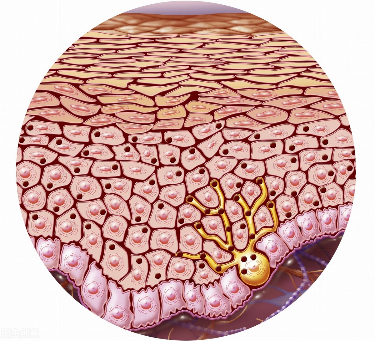 敏感性的头皮有什么好处和坏处,长期使用洗发水对头皮有什么危害