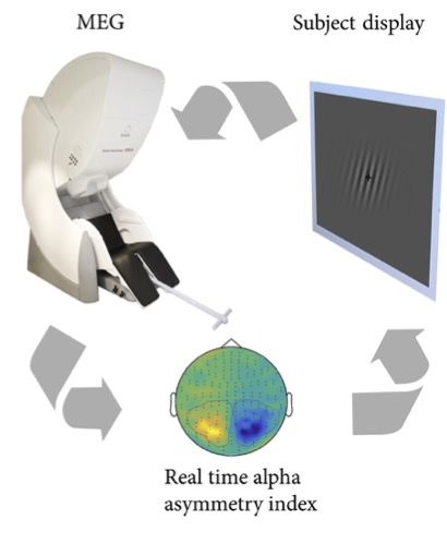 怪兽出没请注意主页更多精彩视频,请注意前方有小动物出没音频