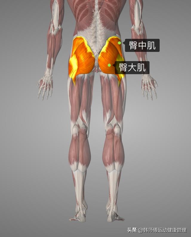 足球准备活动膝关节练习,足球运动员增强膝盖稳定性训练