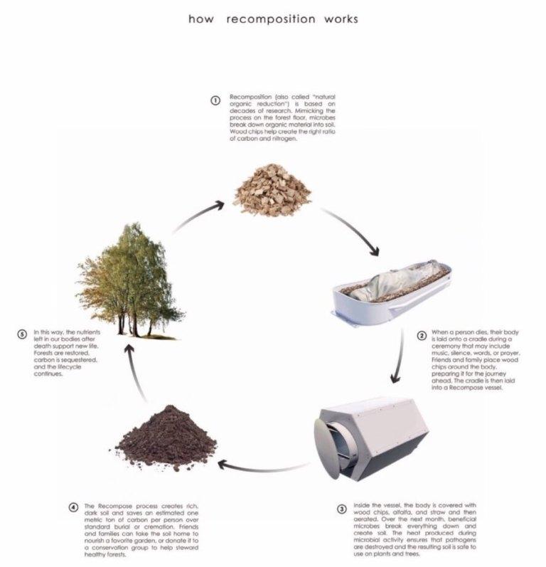 美帝新“死法”，5500美元把人尸体变成花肥，值不值？
