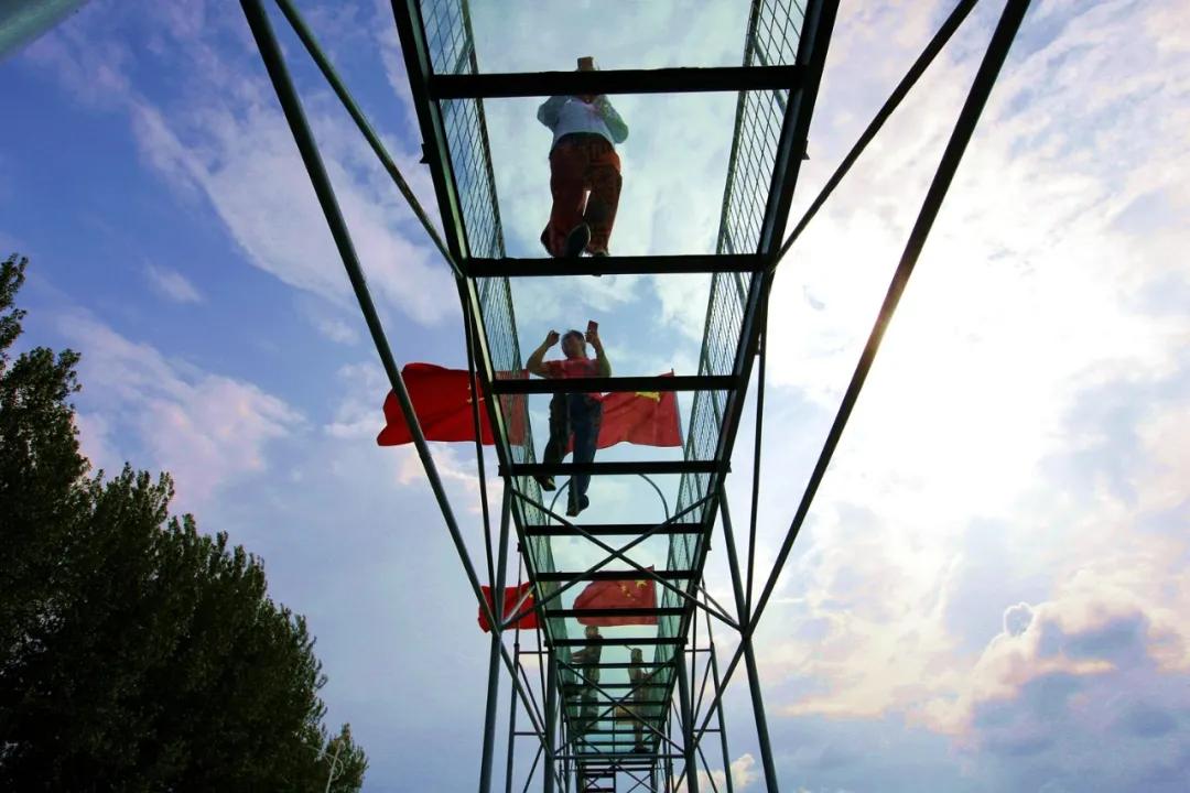 津门网金熙男:最美的稻田