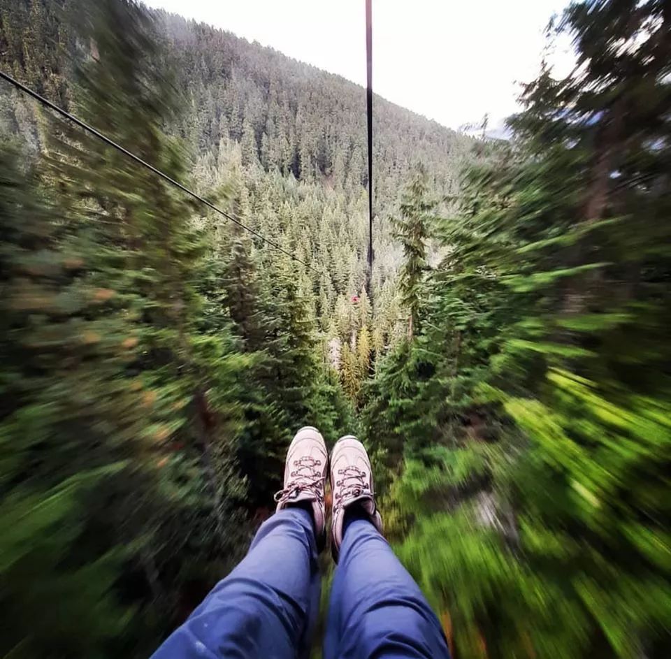 冬季世界冠军,世界冠军的辛酸