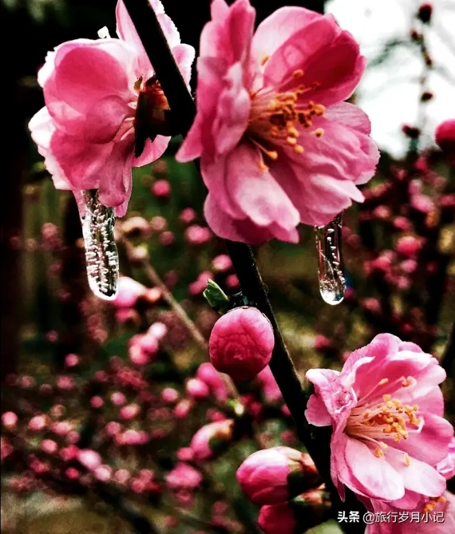 旧时代的榆次老城,榆次老城的老城简介