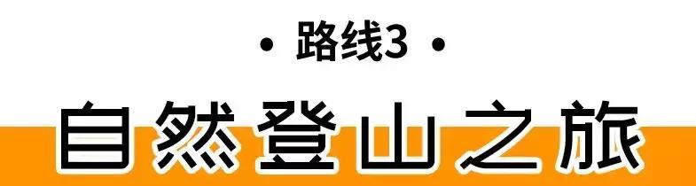 深圳游玩路线攻略必去的地方推荐,深圳4天自驾游攻略最新路线