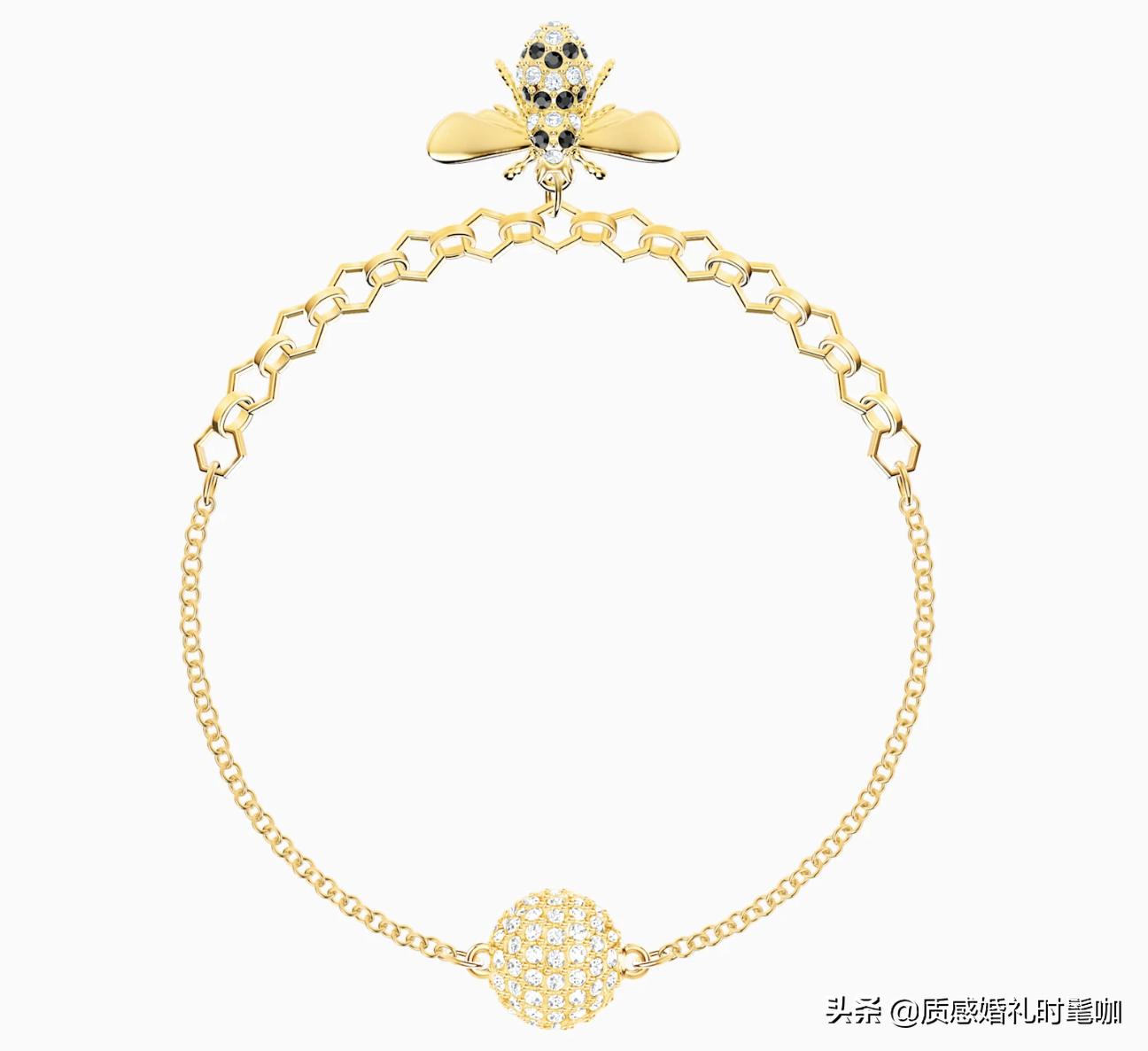 蝗虫算是物种入侵吗,蝗虫是圣甲虫吗