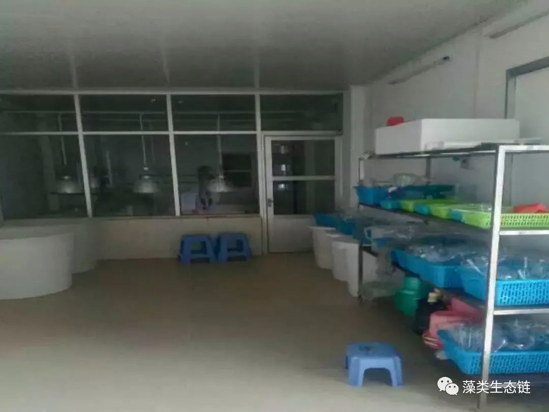 藻类培养课程视频教程,海南藻类生态链