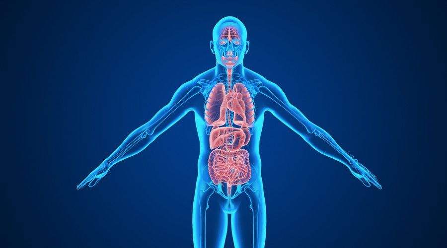 痘痘长在不同部位说明什么原因,痘痘长在各个身体部位的原因