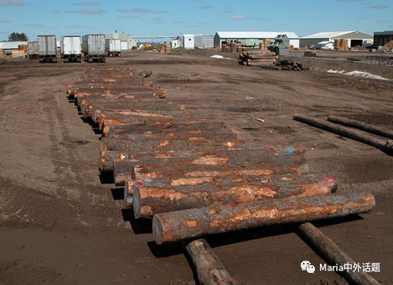 美国硬木干货价格,北美硬木排行