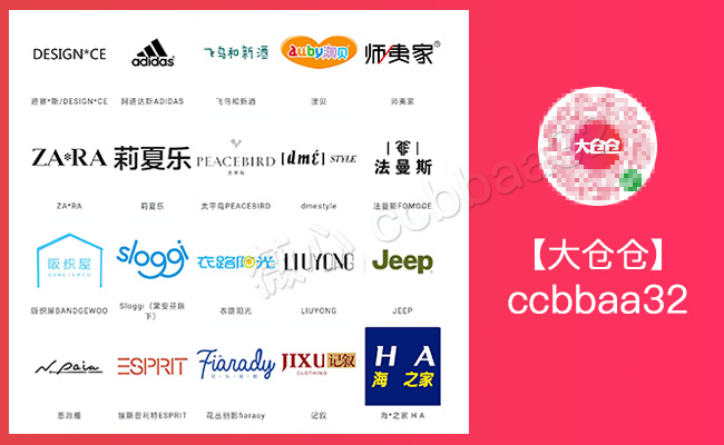 社交大电商,社交电商黑马公主购怎么样