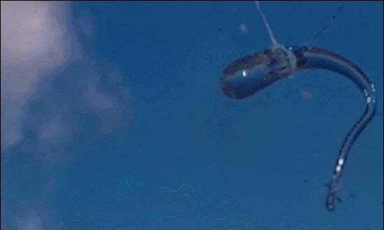 神奇的“蝌蚪”，被*弹子**击中碎的是*弹子**，手指一捏却瞬间爆裂