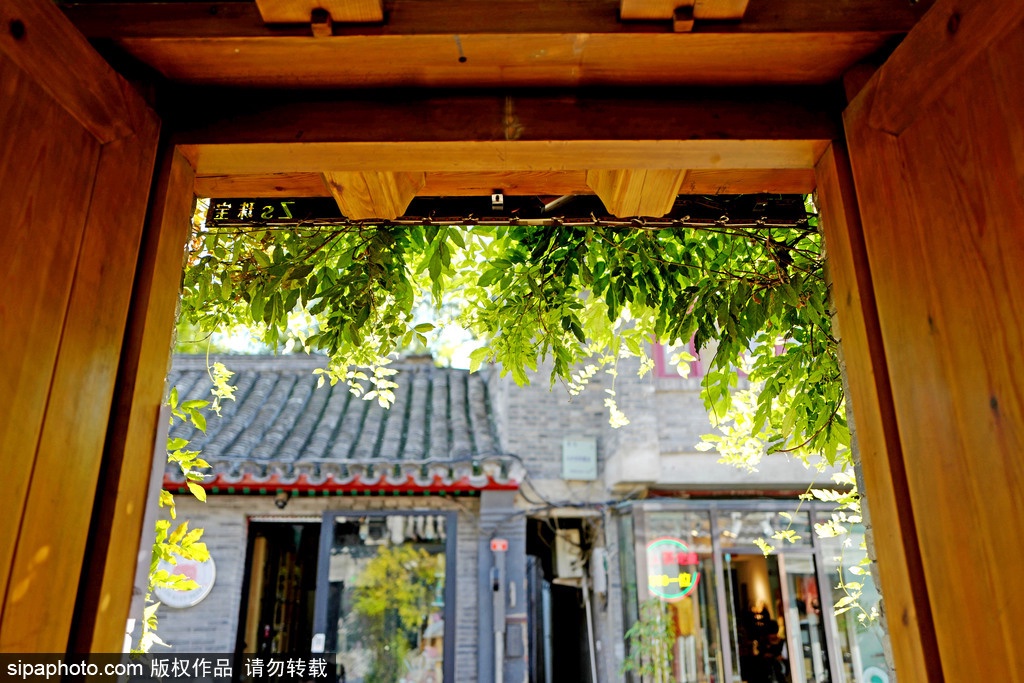 北京文艺小众胡同,胡同里有韵味的小店
