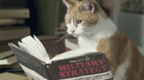 学美留学怎样,学美教育留学