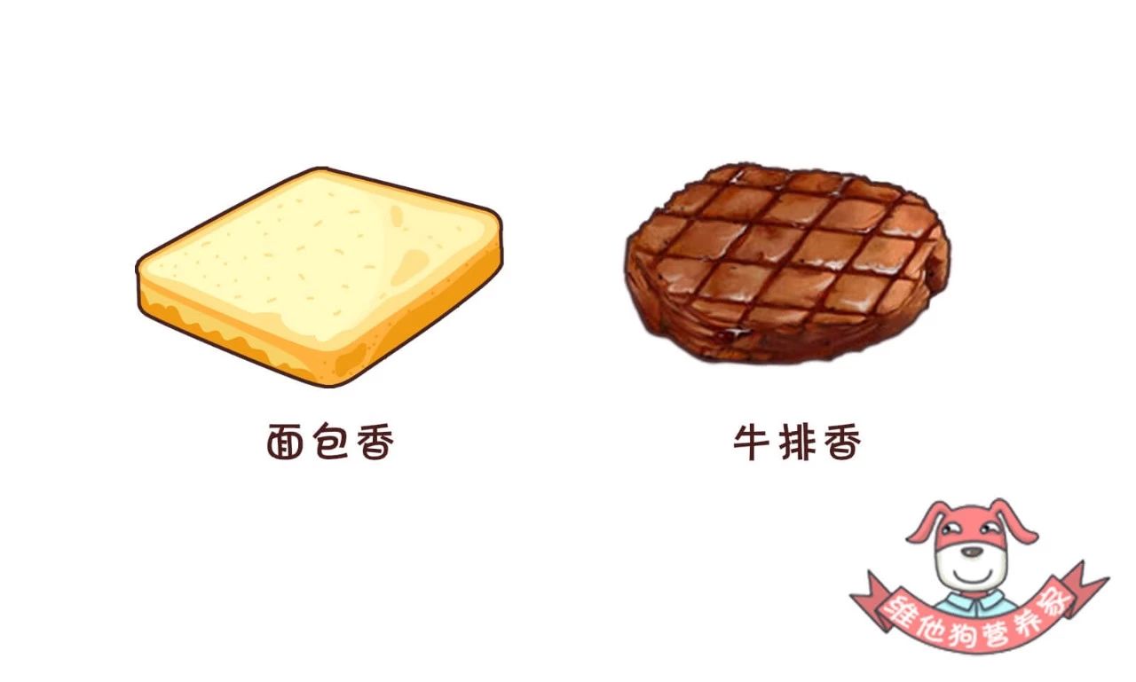 抵挡不了吃的诱惑,烤串撸串攻略