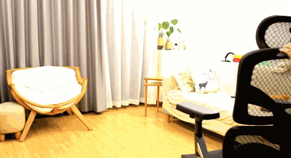 旗舰级人体工学椅,高端人体工程学椅