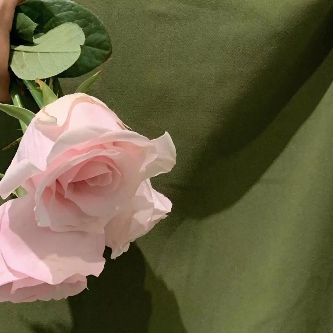 美好的一天正能量句子,生活简单美好的短句子