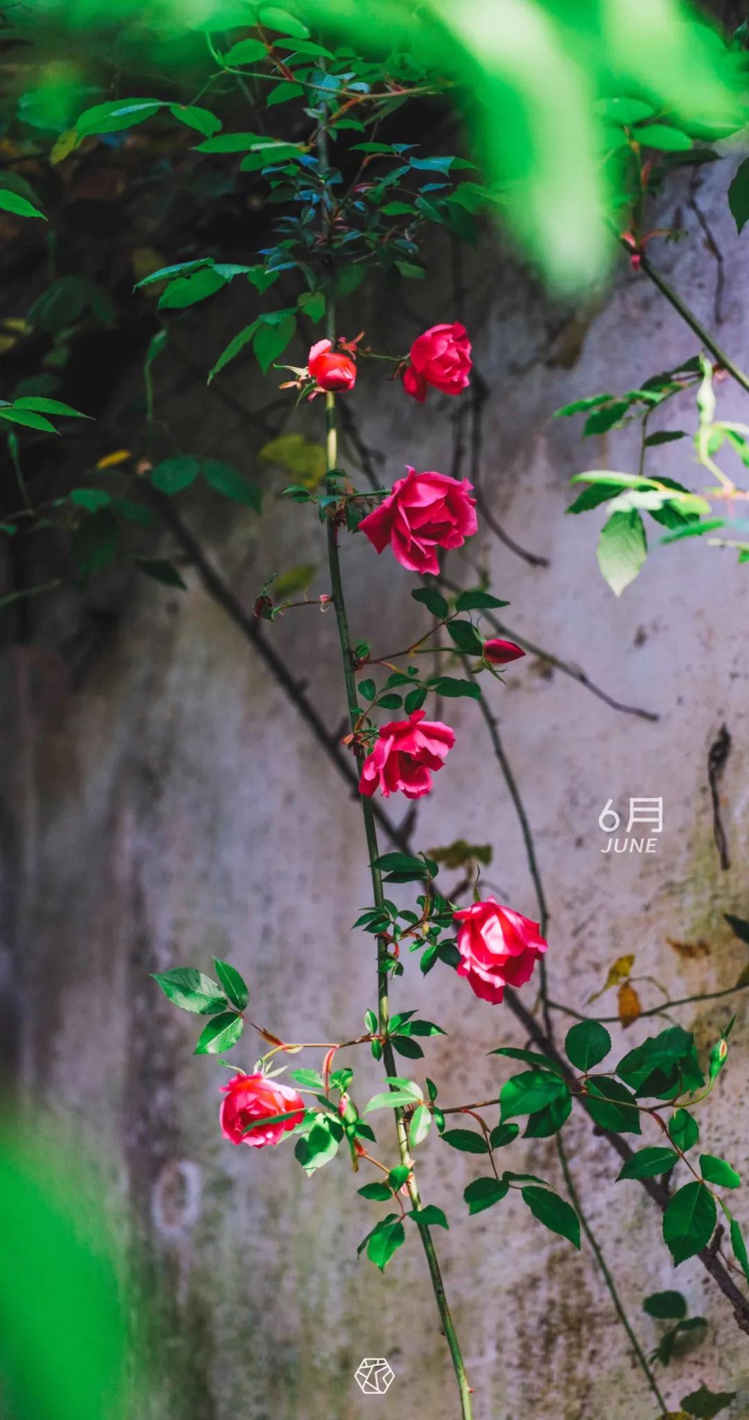 新年横屏壁纸2023超高清壁纸,苏州壁纸横屏