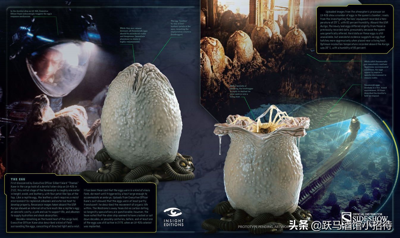 异形抱脸虫交替过程,异形抱脸虫种类