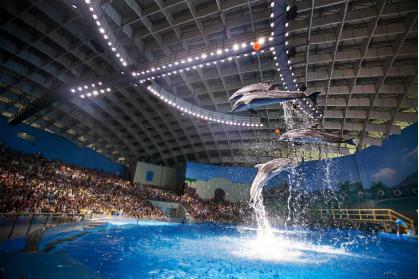 武汉海昌极地海洋公园旅游攻略,武汉海昌极地海洋公园最佳游览