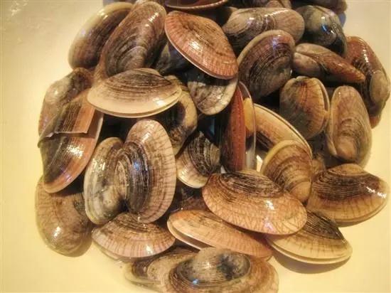 花蚬子吐沙不开口,花蚬子吐沙子要多久