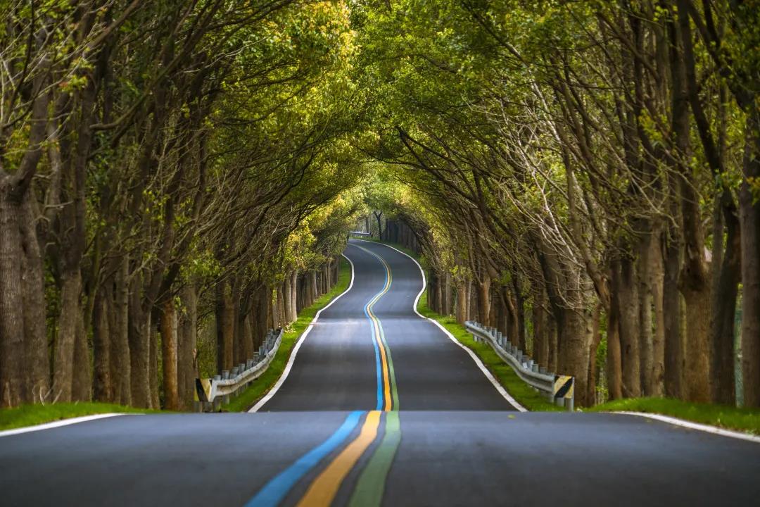 南京新规划发布,南京这个城市未来的发展