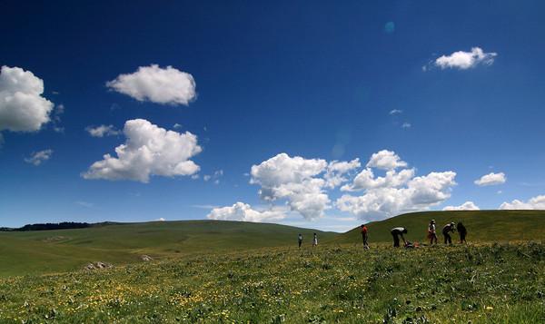 六月底的伊犁雪山,5月的伊犁草原