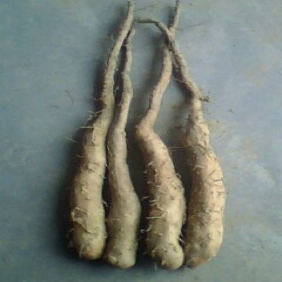 山药种植底肥钾多好还是磷多好,山药是怎样种植的用什么当种子