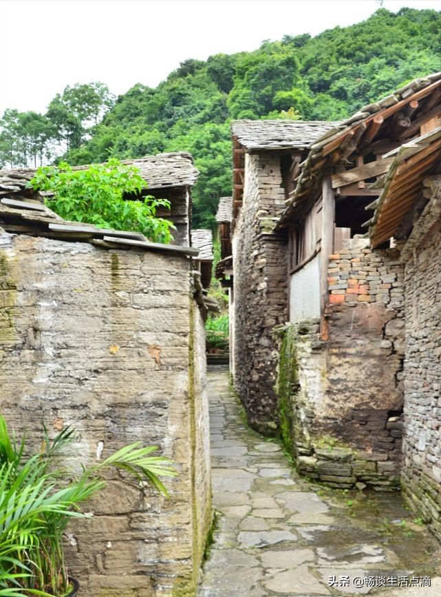夏天庭院怎么驱除蚊子,夏天小院防蚊子妙招