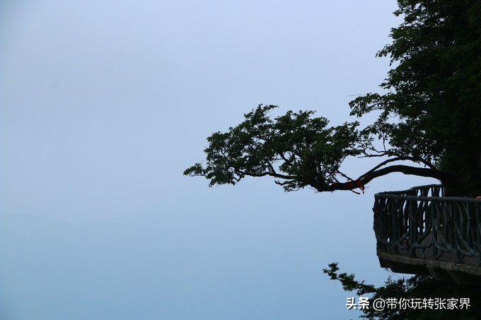 到张家界天门山自助游价格多少钱,武汉到张家界天门山三日游