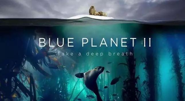 看完20部bbc纪录片英语提升,看懂这部电影