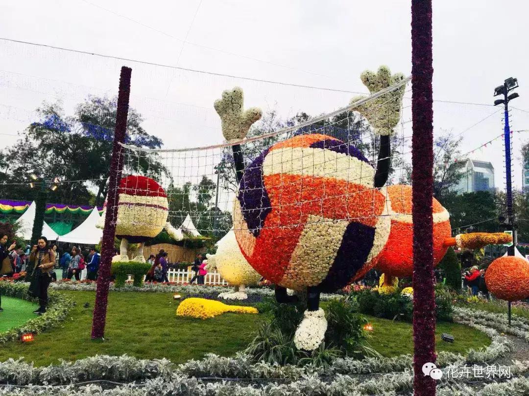 香港花卉艺术展,共赴盛会活动