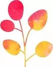 这些护肤盲区你踩雷了吗,日常被忽略的13大护肤死角