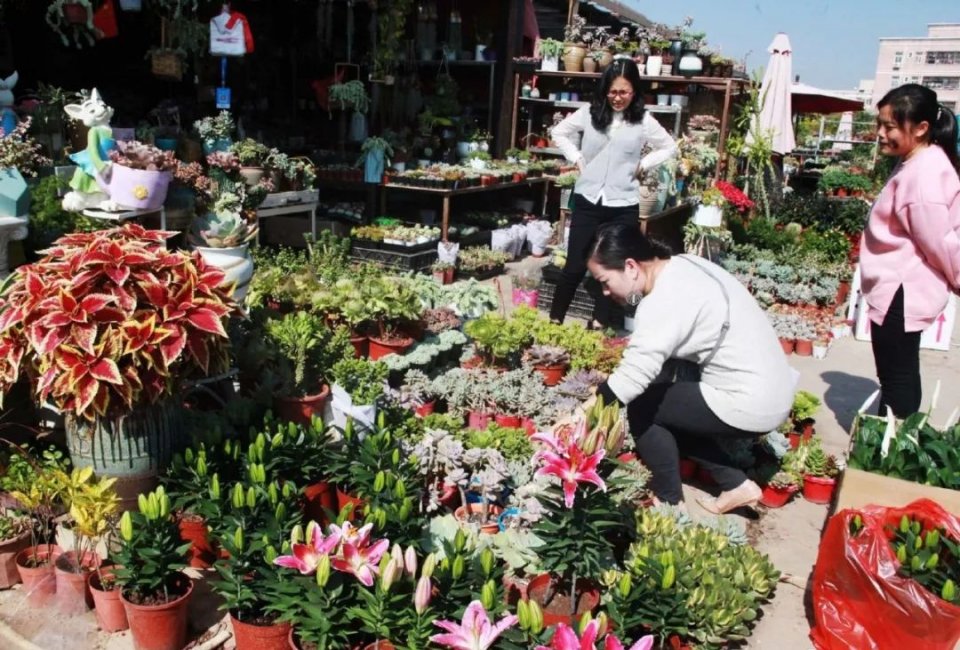 深圳年货批发市场地址短视频,深圳年货特产批发市场