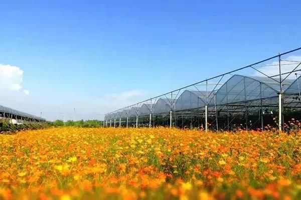 回乡创业的难点和机遇解答,2023年预计返乡创业人数达到