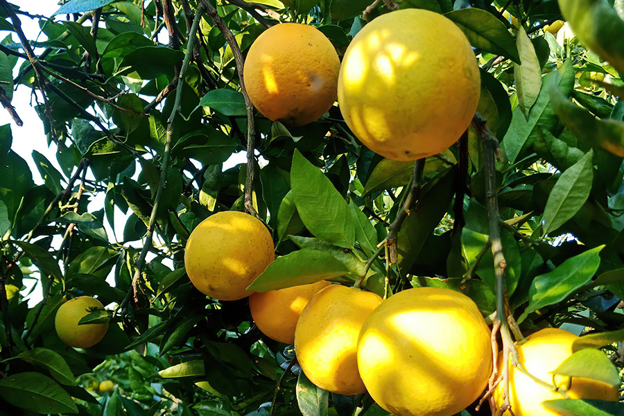 11月份新车扎堆上市,11月新车扎堆上市