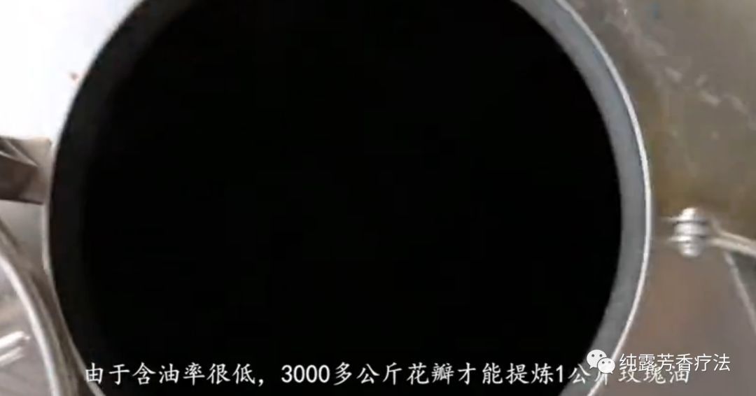 玫瑰细胞液是什么功效,大马士革玫瑰细胞液