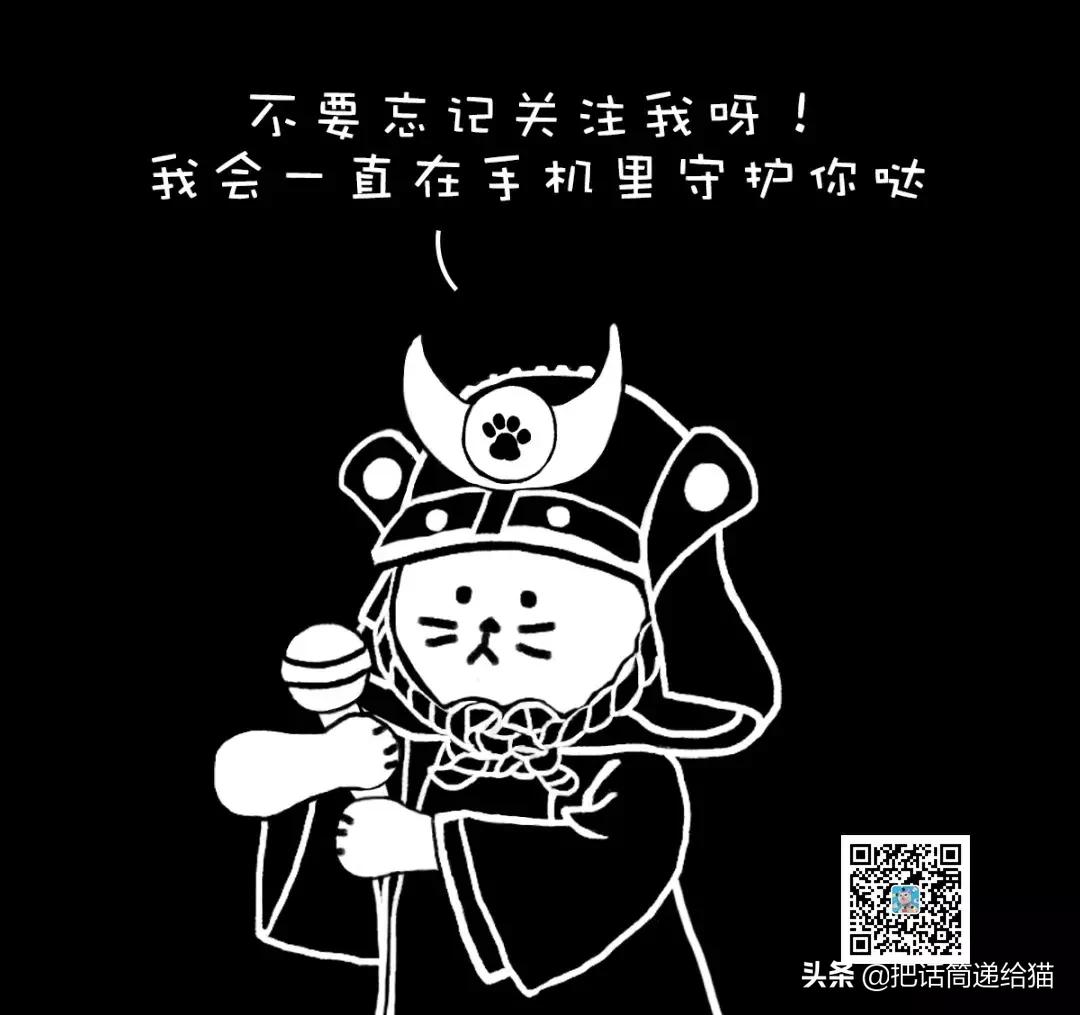 猫故事集,猫故事完整版