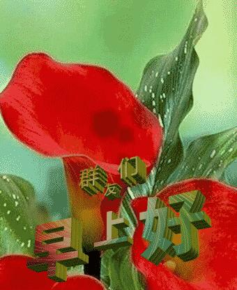 大年初三群相册，有群的都看看，太美了，这辈子见一次值了