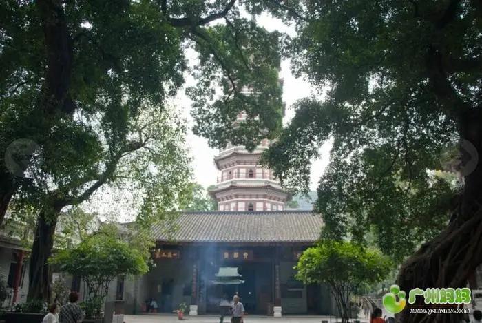 七十年代以来广州的生活的变迁,八十年代以前的广州照片