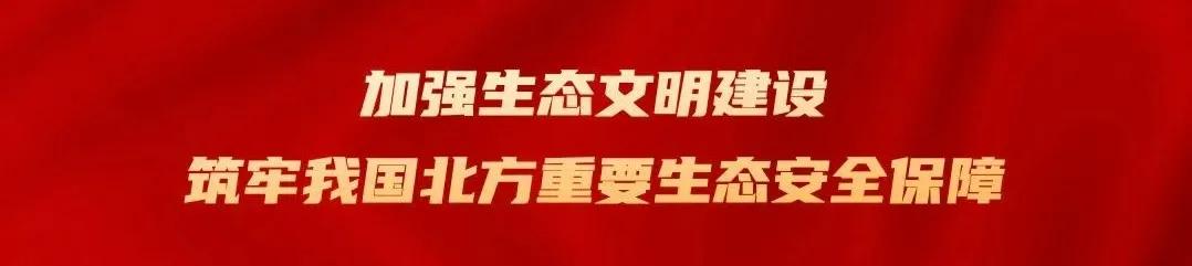 呼伦贝尔大草原天蓝草绿,呼伦贝尔蓝天白云牛羊成群