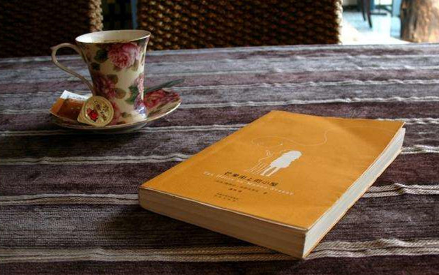 芒果街的小屋朗读,芒果街的小屋灵感配图