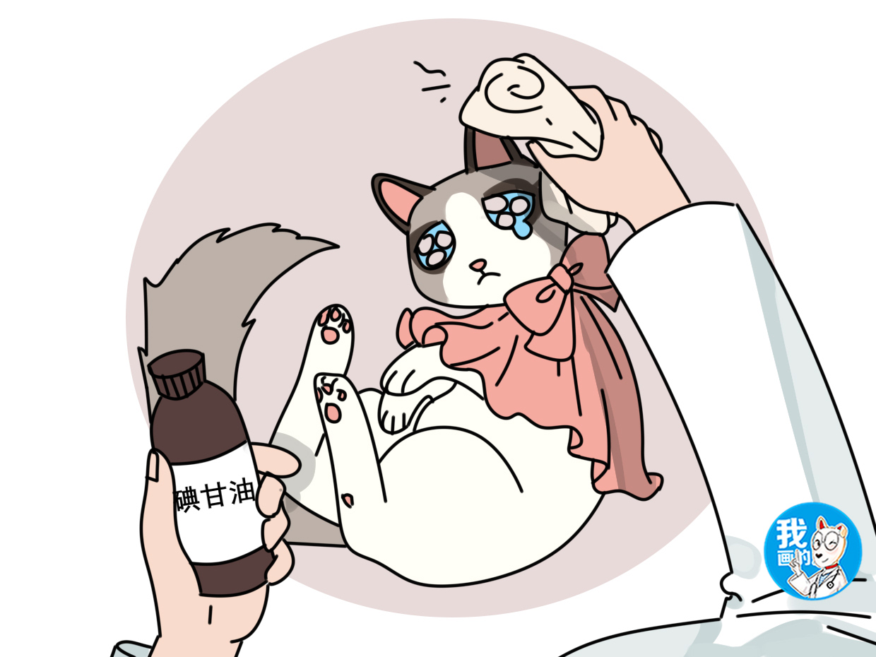 猫咪会被冻伤吗,猫咪冷感冒了会自愈吗