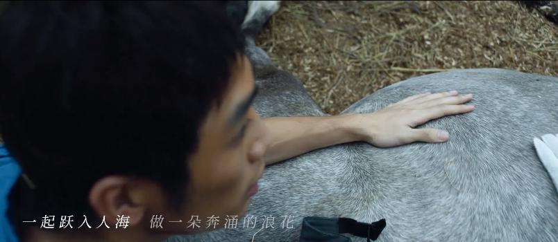 创造营2019成团之夜毛不易入海,毛不易b站唱歌拾光者