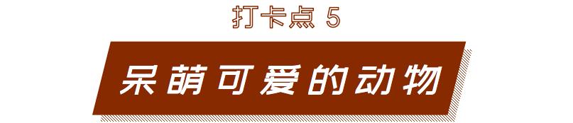 深圳风景最好的岛,深圳有个什么旅游岛
